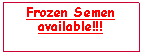 Tekstvak: Frozen Semen available!!!